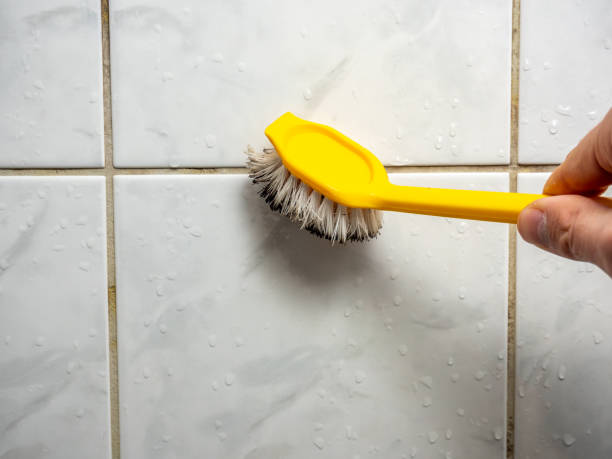 Beacon, NY Mold Removal Company